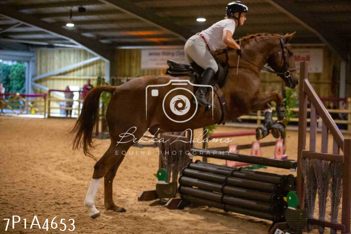 JHOYS 2023 - 9th September - Working Hunter
