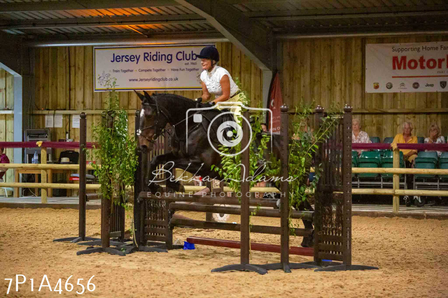 JHOYS 2023 - 9th September - Working Hunter