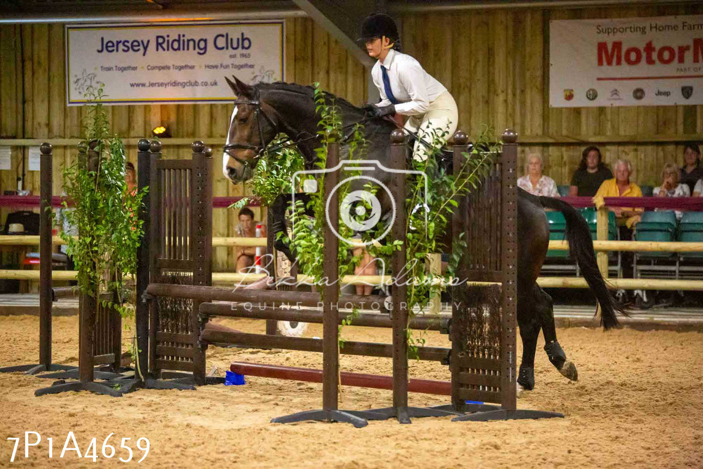 JHOYS 2023 - 9th September - Working Hunter