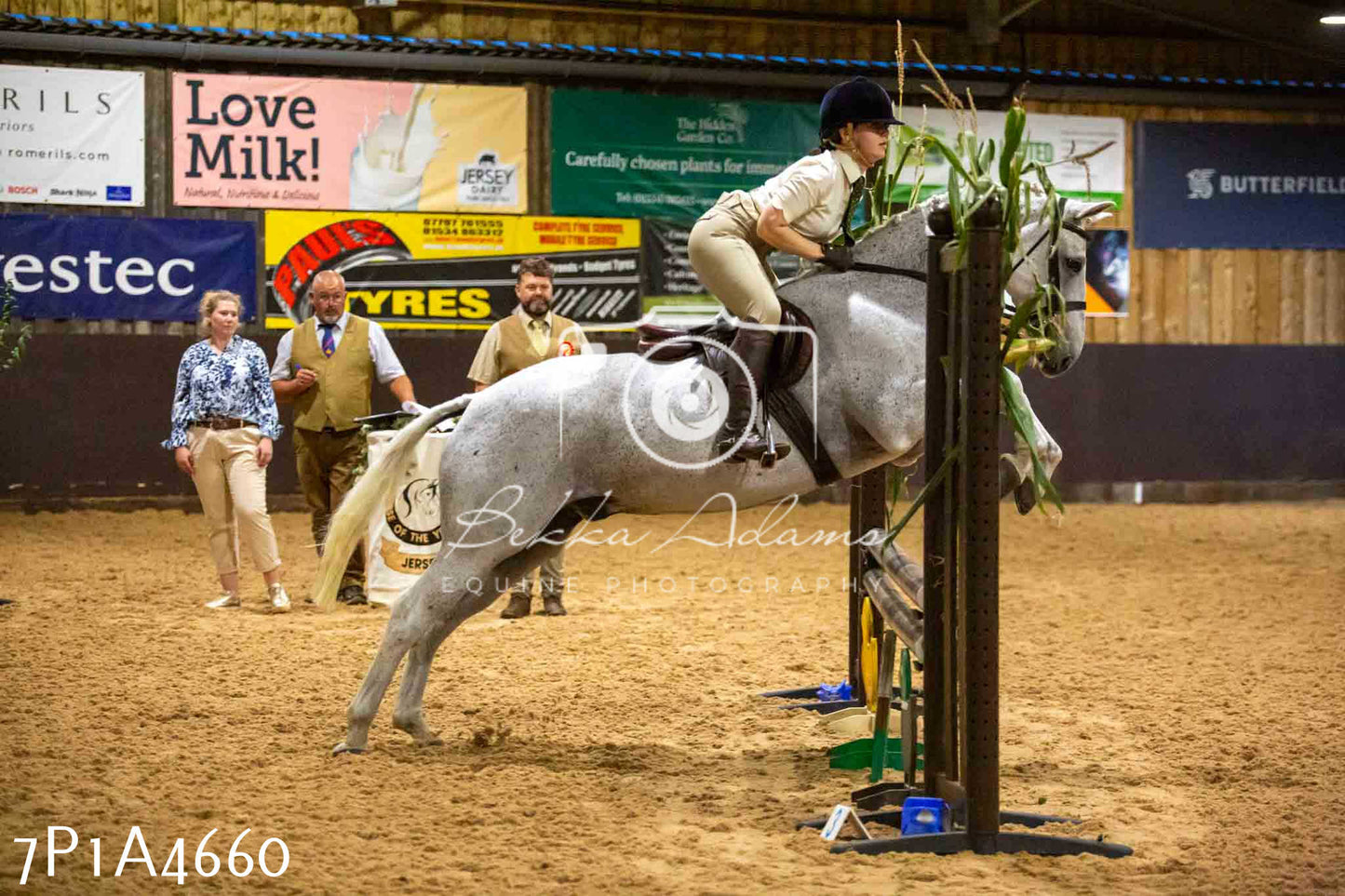 JHOYS 2023 - 9th September - Working Hunter