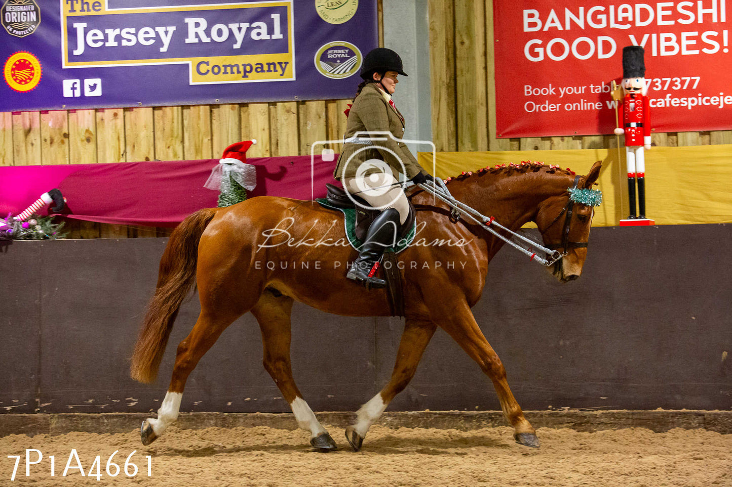 Home Farm Christmas Show 2024 - Ridden