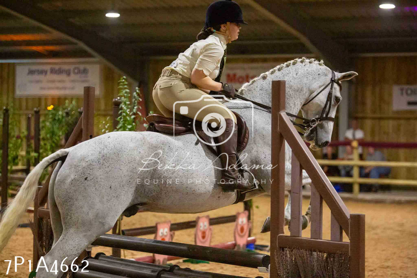 JHOYS 2023 - 9th September - Working Hunter