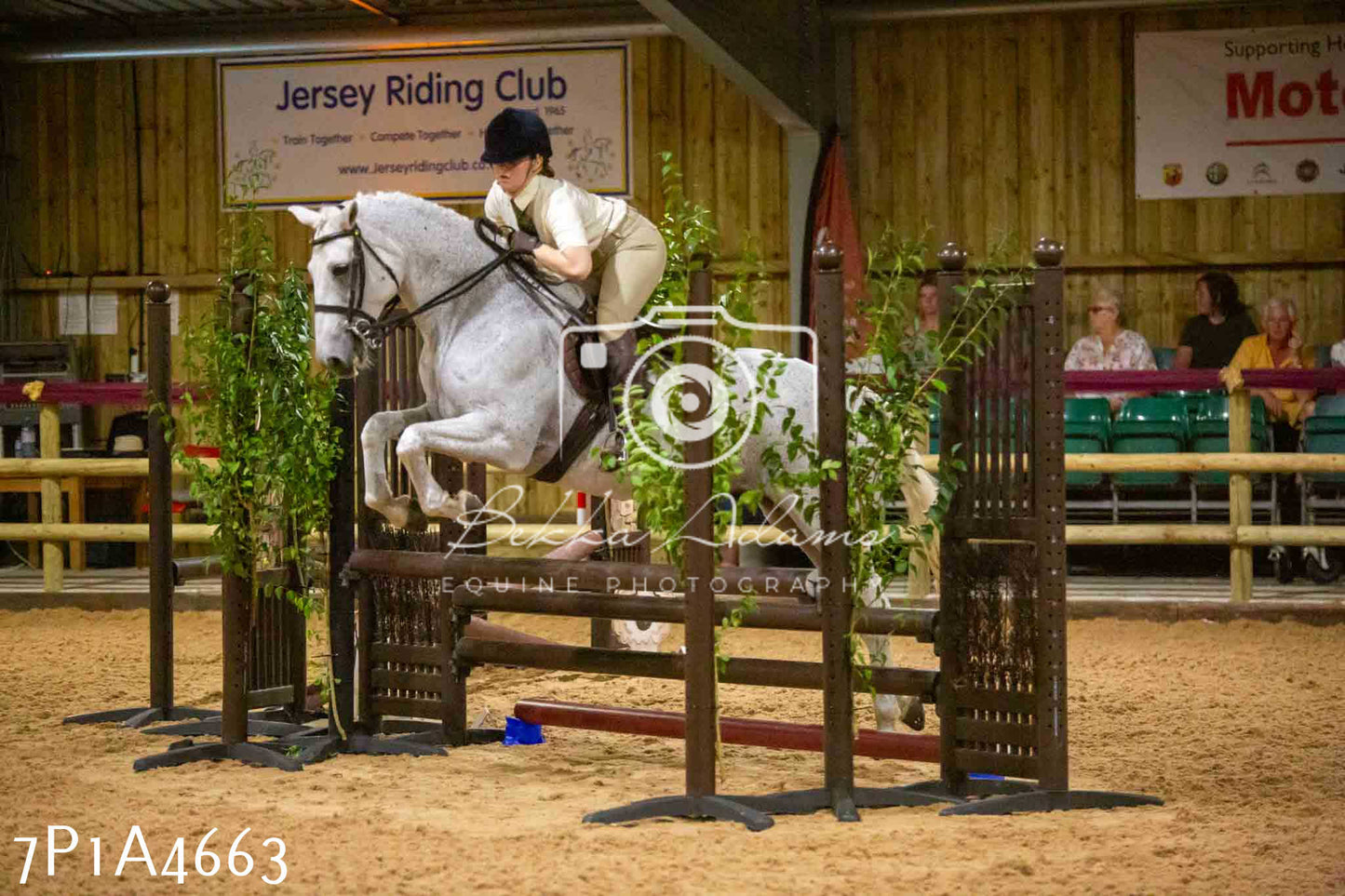 JHOYS 2023 - 9th September - Working Hunter