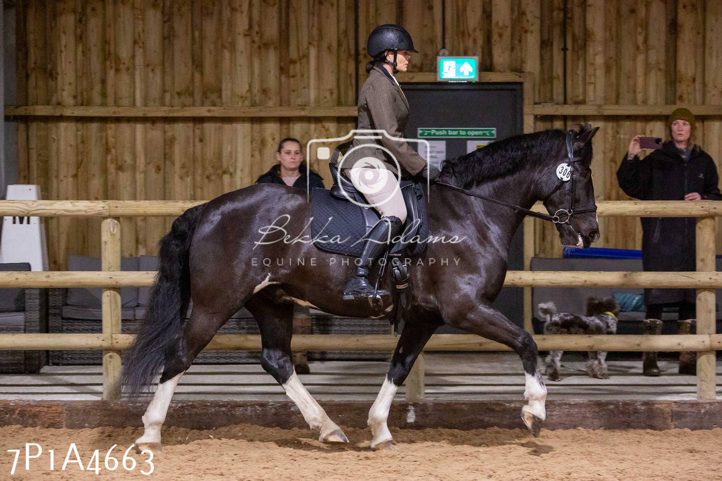 Home Farm Christmas Show 2024 - Ridden