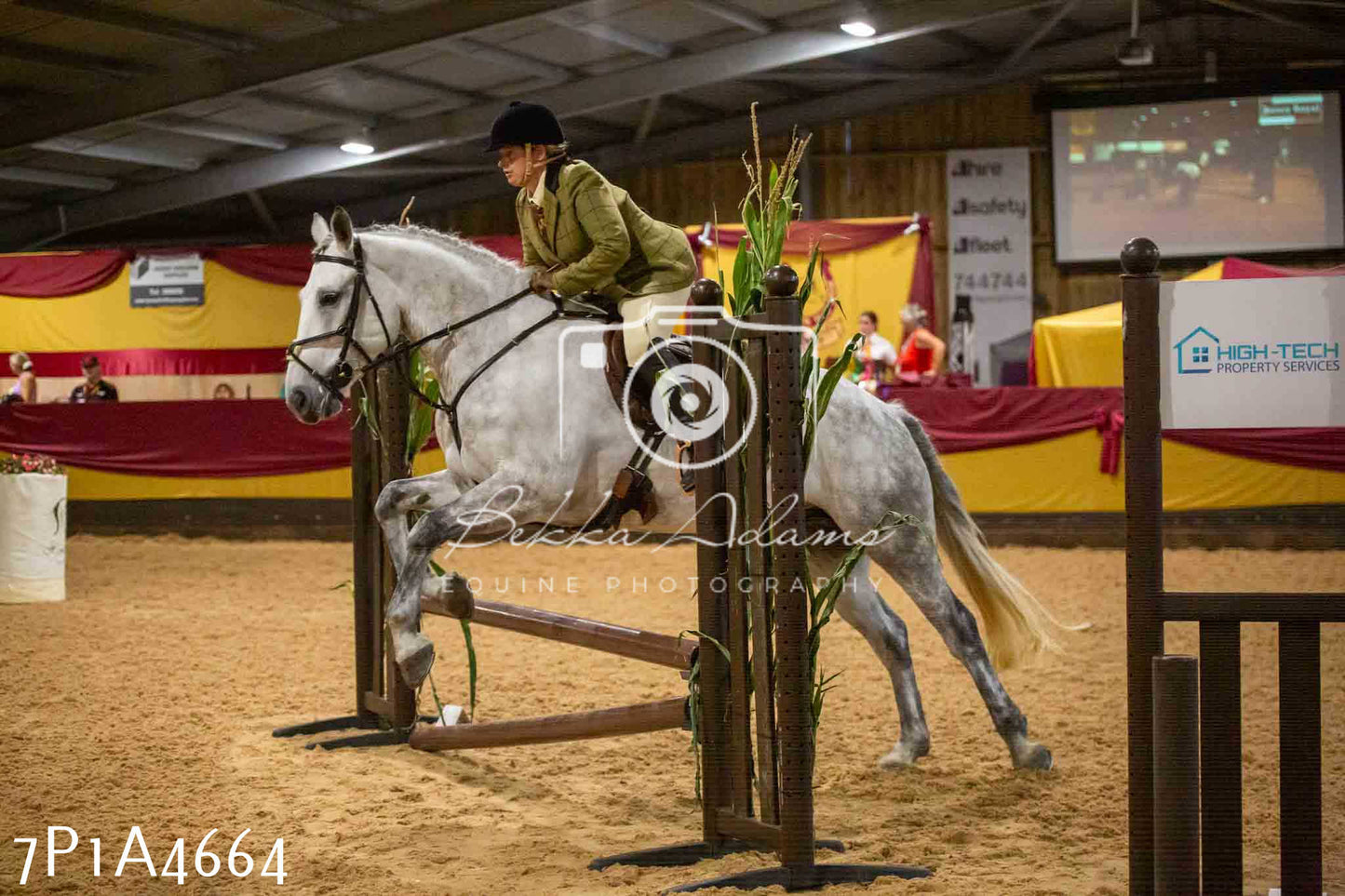 JHOYS 2023 - 9th September - Working Hunter