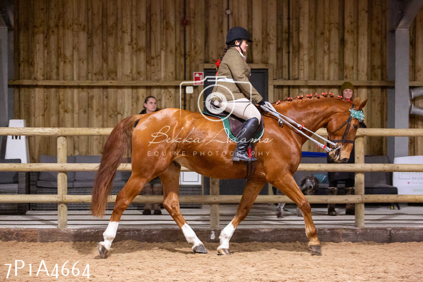 Home Farm Christmas Show 2024 - Ridden