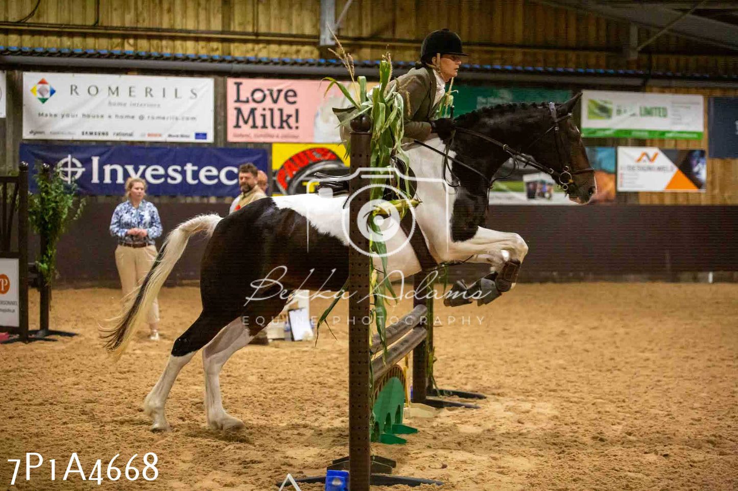 JHOYS 2023 - 9th September - Working Hunter