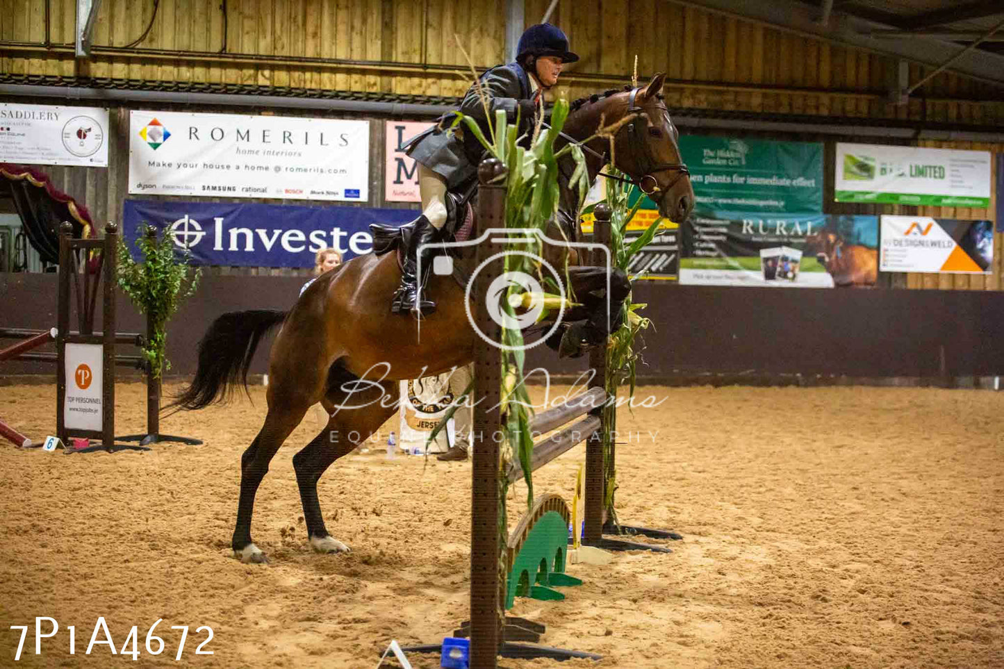 JHOYS 2023 - 9th September - Working Hunter