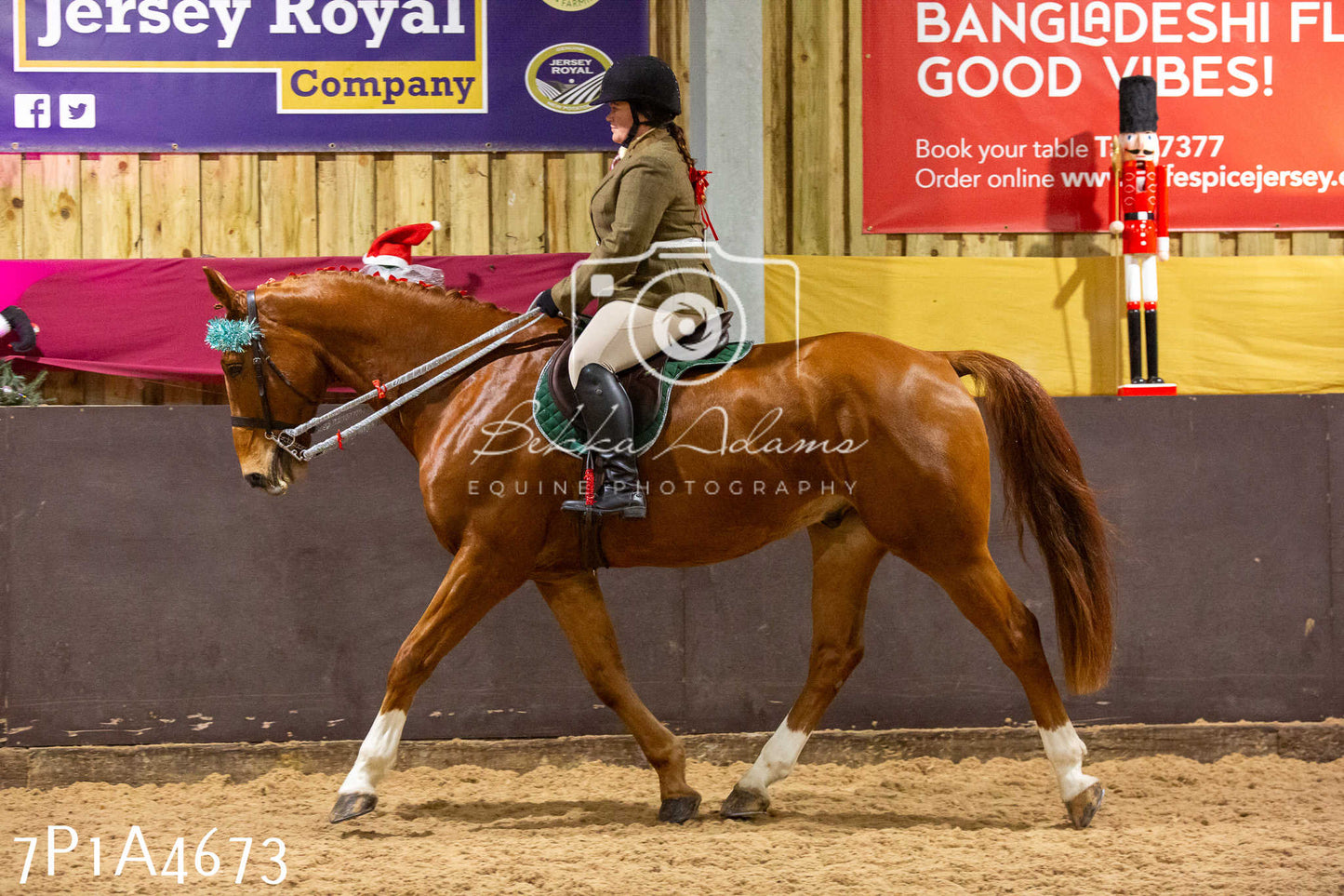Home Farm Christmas Show 2024 - Ridden