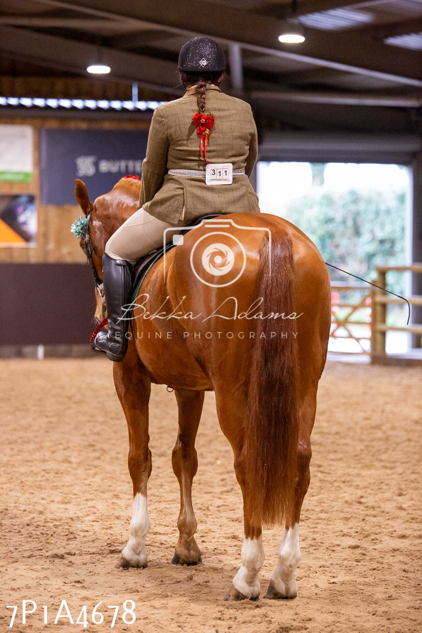 Home Farm Christmas Show 2024 - Ridden