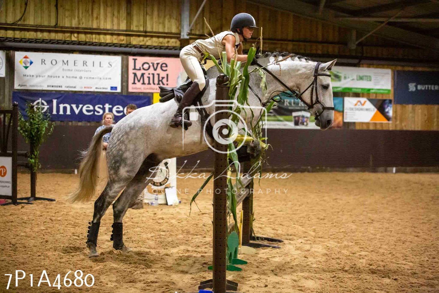 JHOYS 2023 - 9th September - Working Hunter