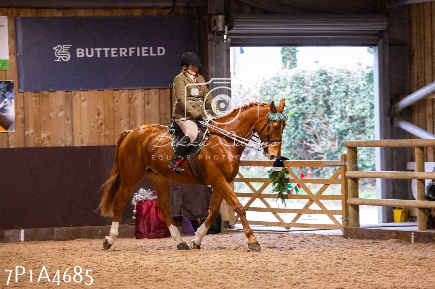 Home Farm Christmas Show 2024 - Ridden
