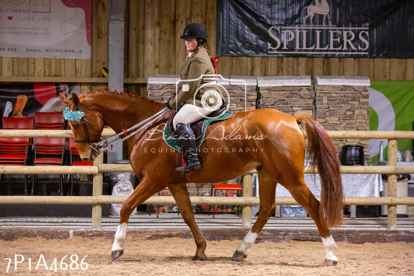 Home Farm Christmas Show 2024 - Ridden