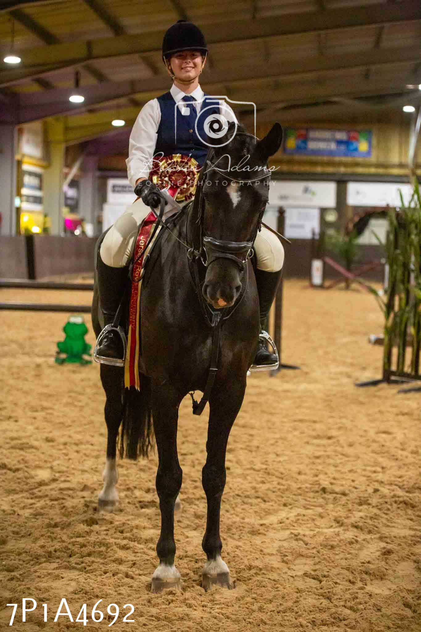 JHOYS 2023 - 9th September - Working Hunter