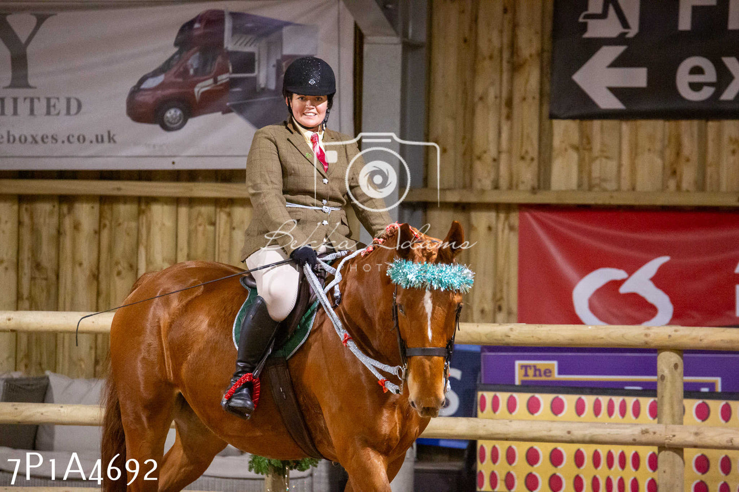 Home Farm Christmas Show 2024 - Ridden