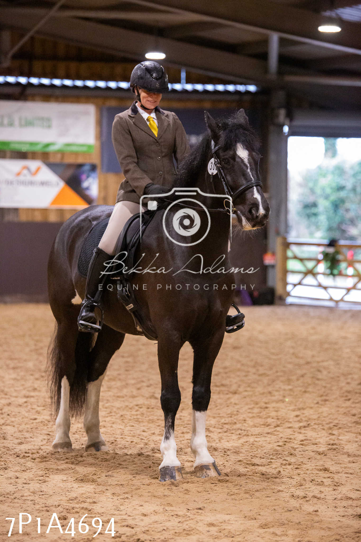 Home Farm Christmas Show 2024 - Ridden