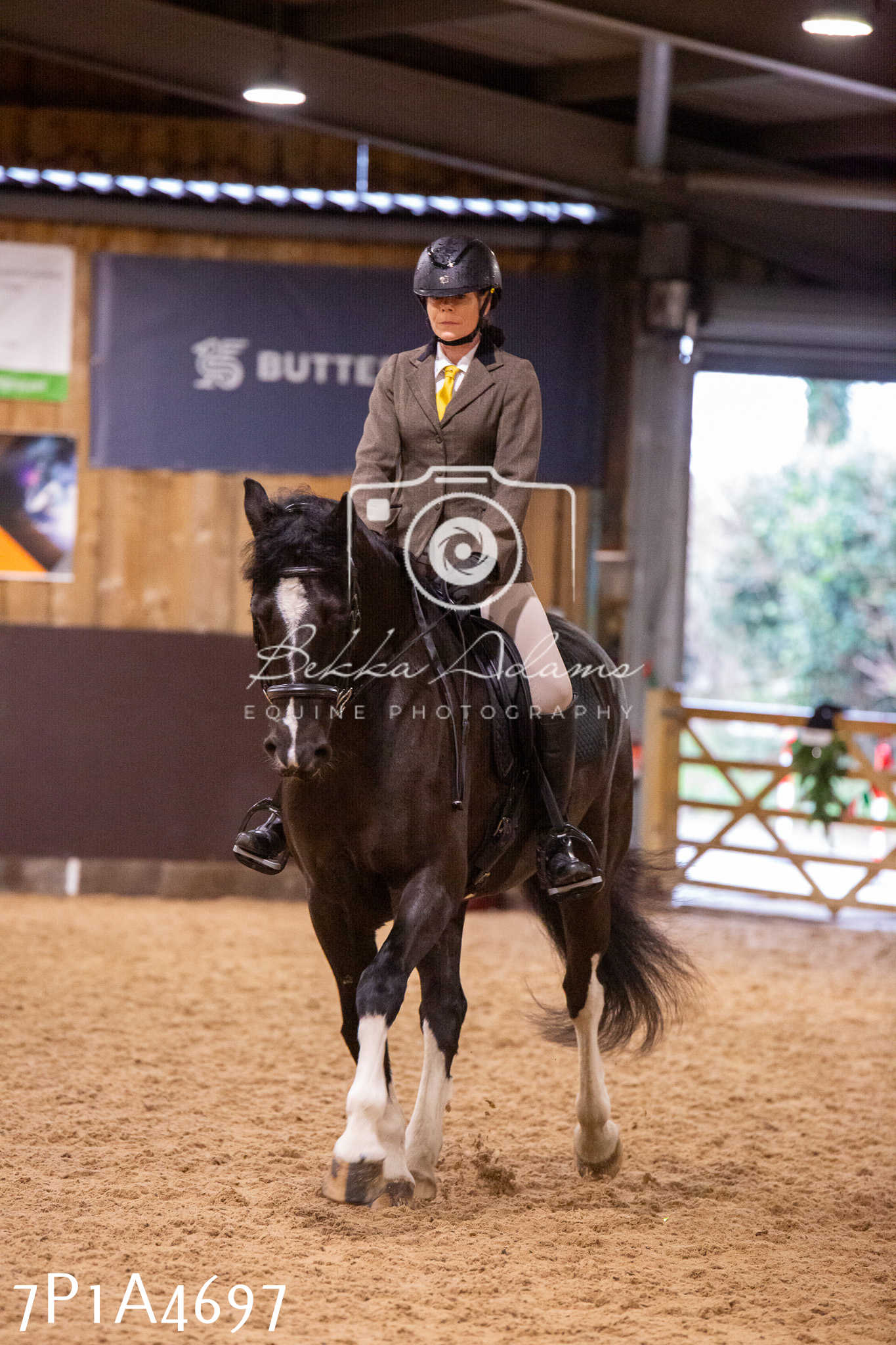 Home Farm Christmas Show 2024 - Ridden