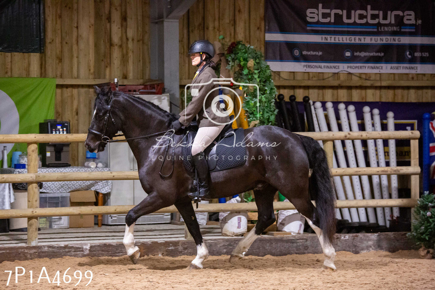 Home Farm Christmas Show 2024 - Ridden