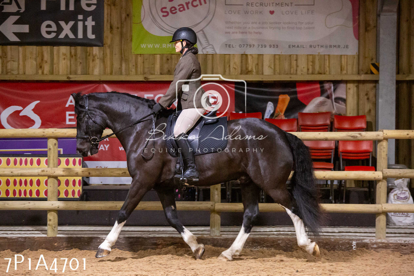 Home Farm Christmas Show 2024 - Ridden