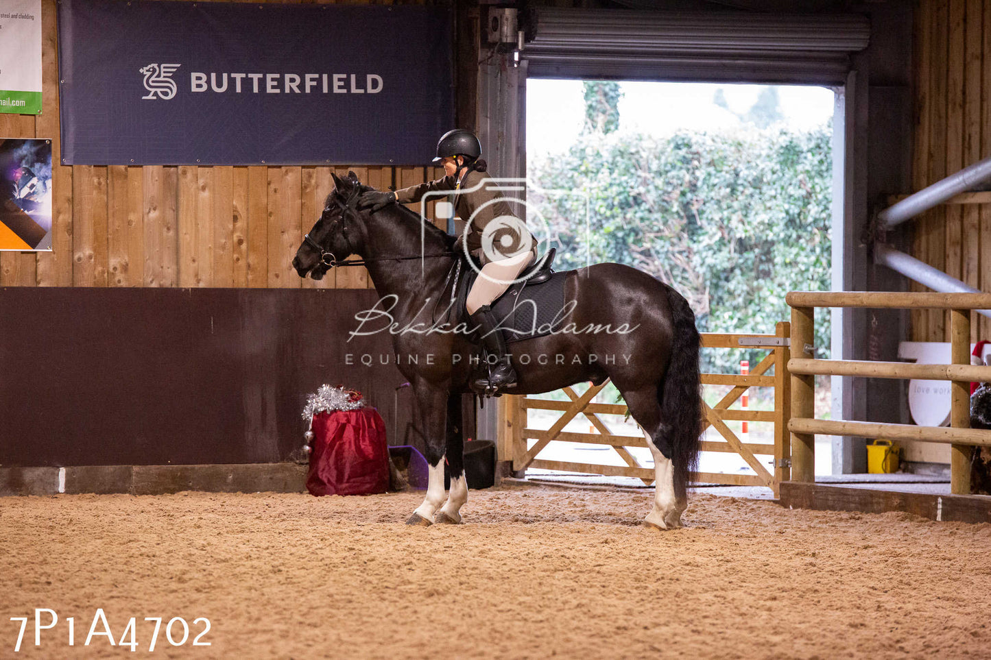 Home Farm Christmas Show 2024 - Ridden