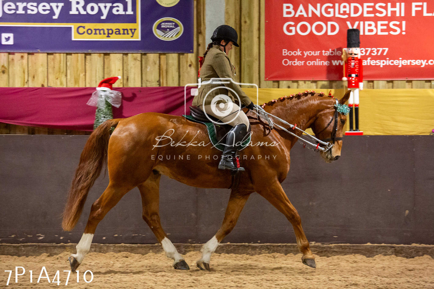 Home Farm Christmas Show 2024 - Ridden