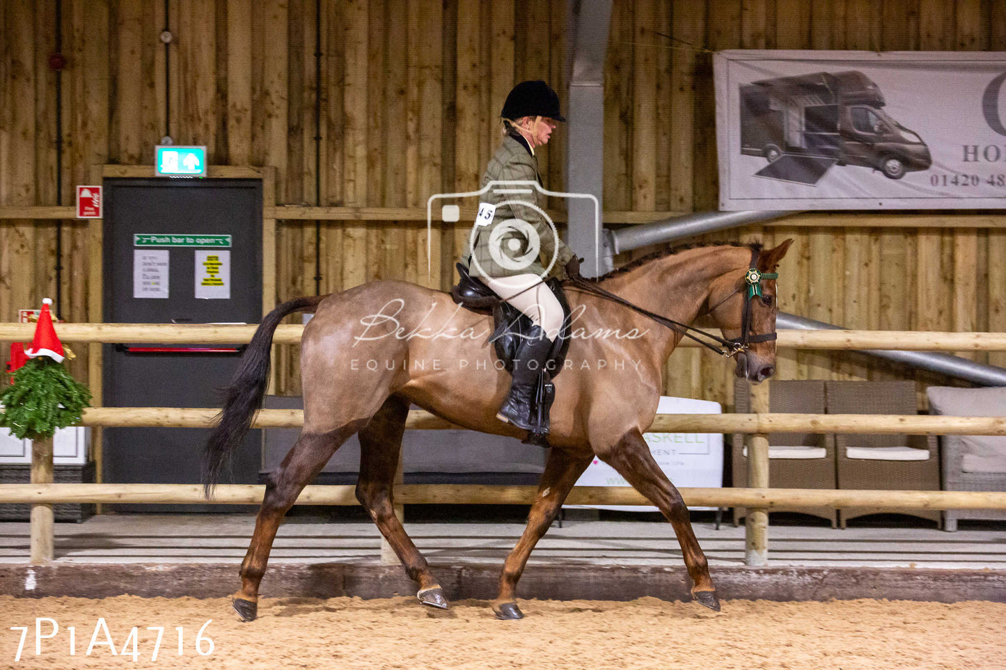 Home Farm Christmas Show 2024 - Ridden