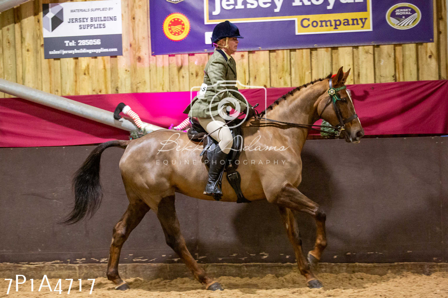 Home Farm Christmas Show 2024 - Ridden