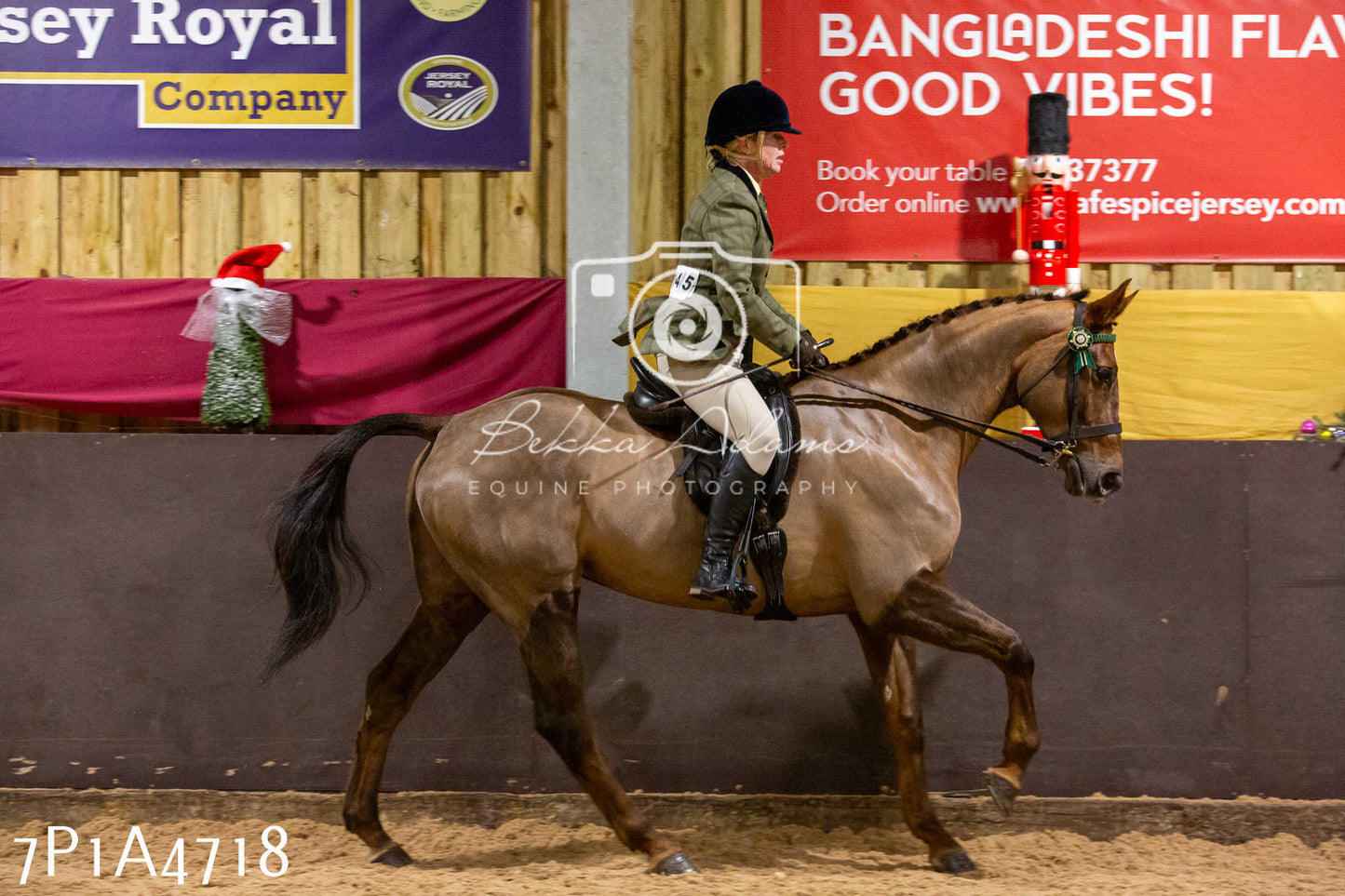 Home Farm Christmas Show 2024 - Ridden