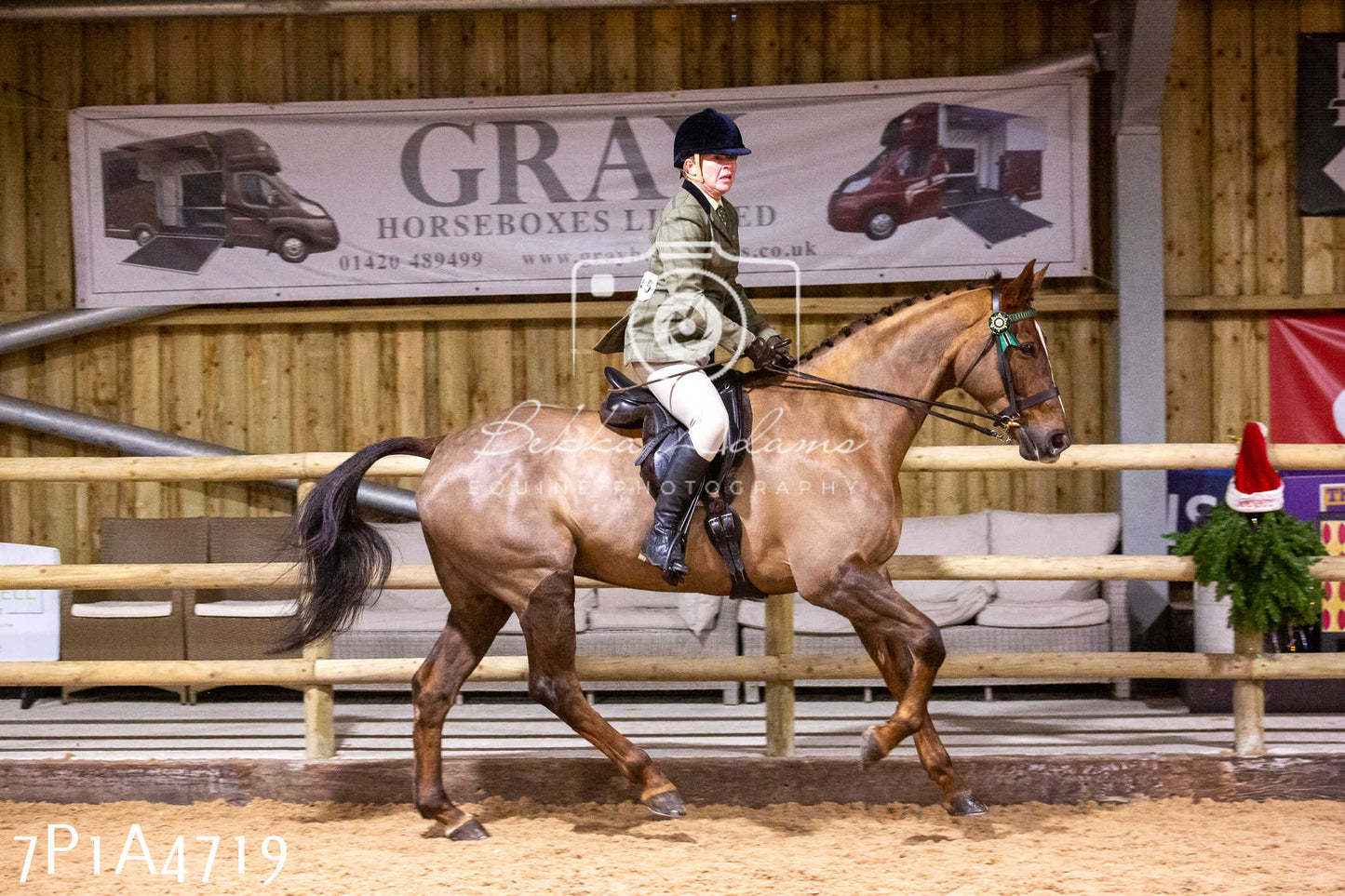 Home Farm Christmas Show 2024 - Ridden