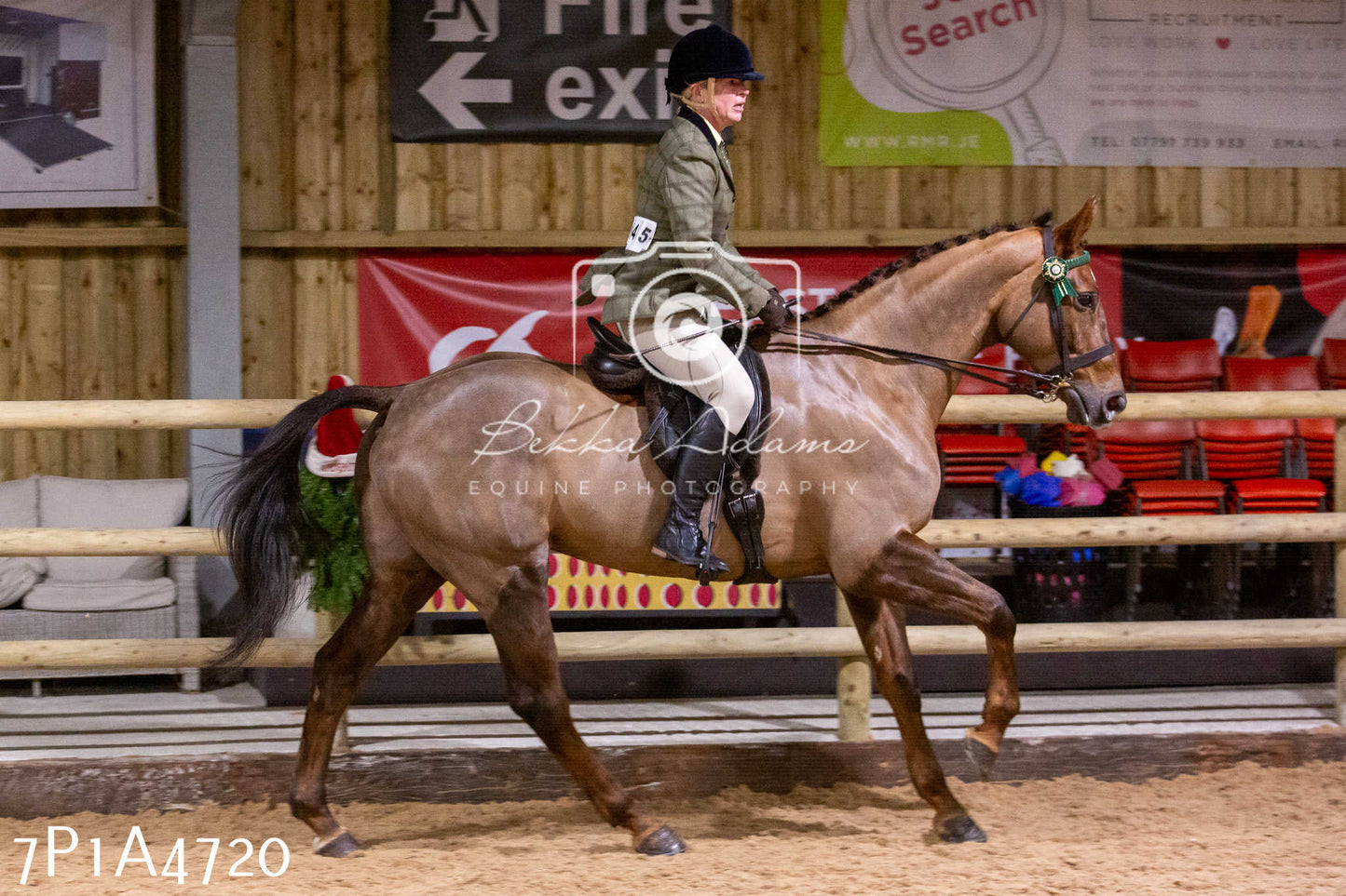 Home Farm Christmas Show 2024 - Ridden