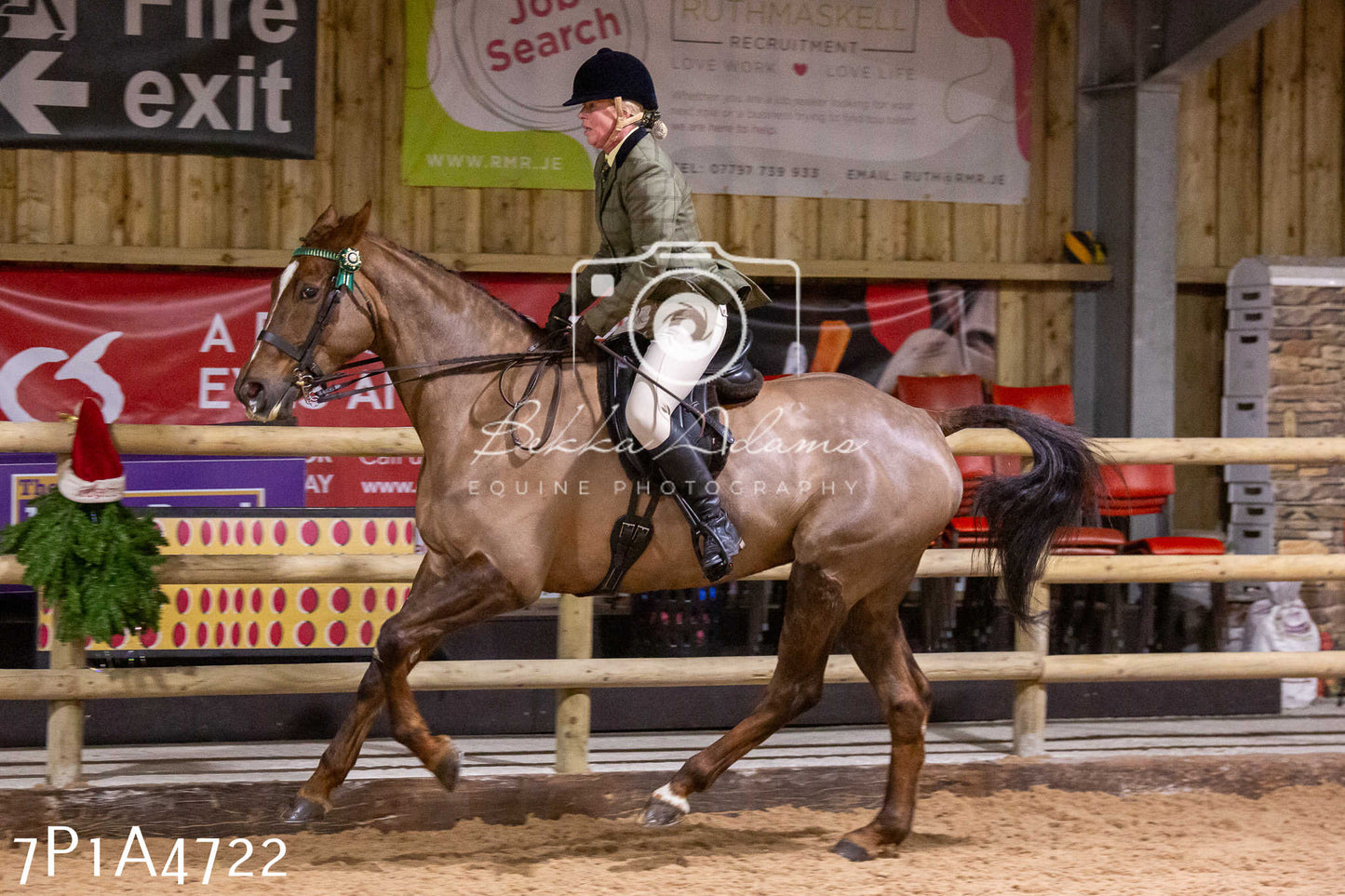Home Farm Christmas Show 2024 - Ridden
