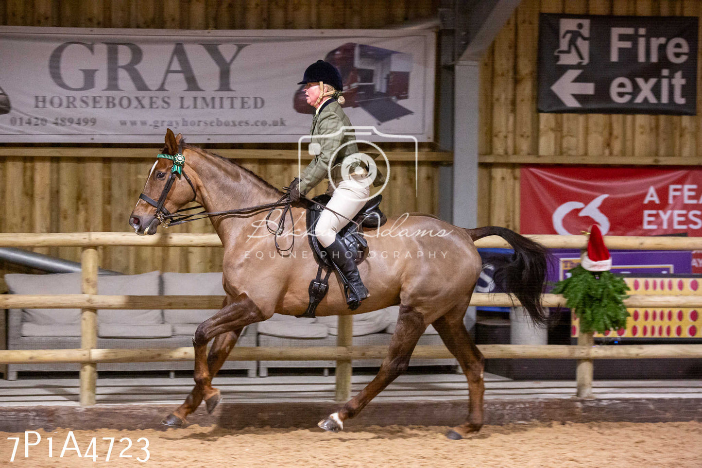 Home Farm Christmas Show 2024 - Ridden