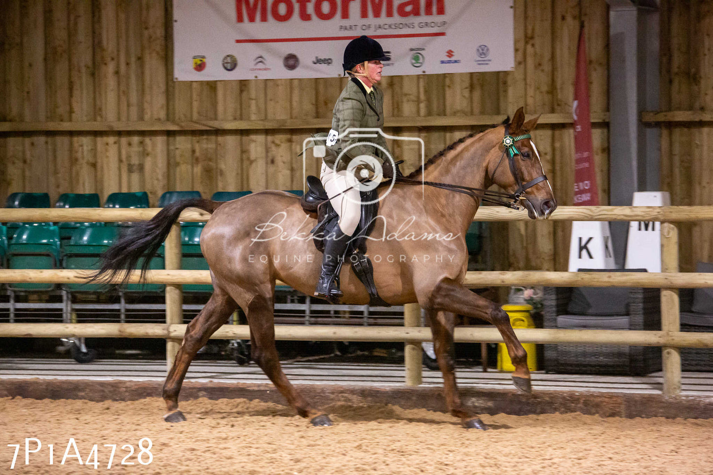 Home Farm Christmas Show 2024 - Ridden
