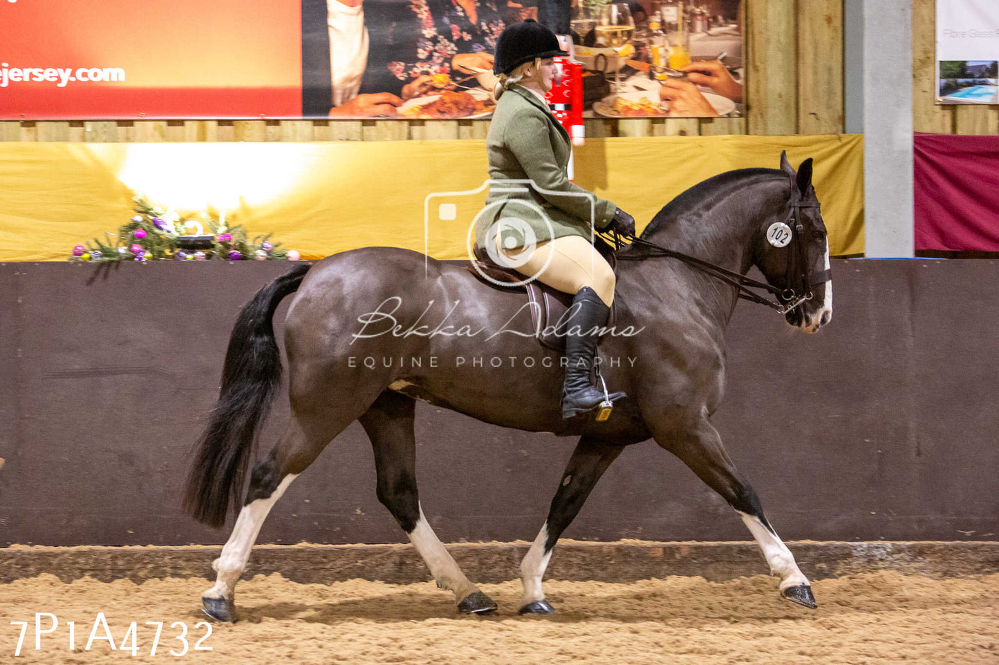 Home Farm Christmas Show 2024 - Ridden