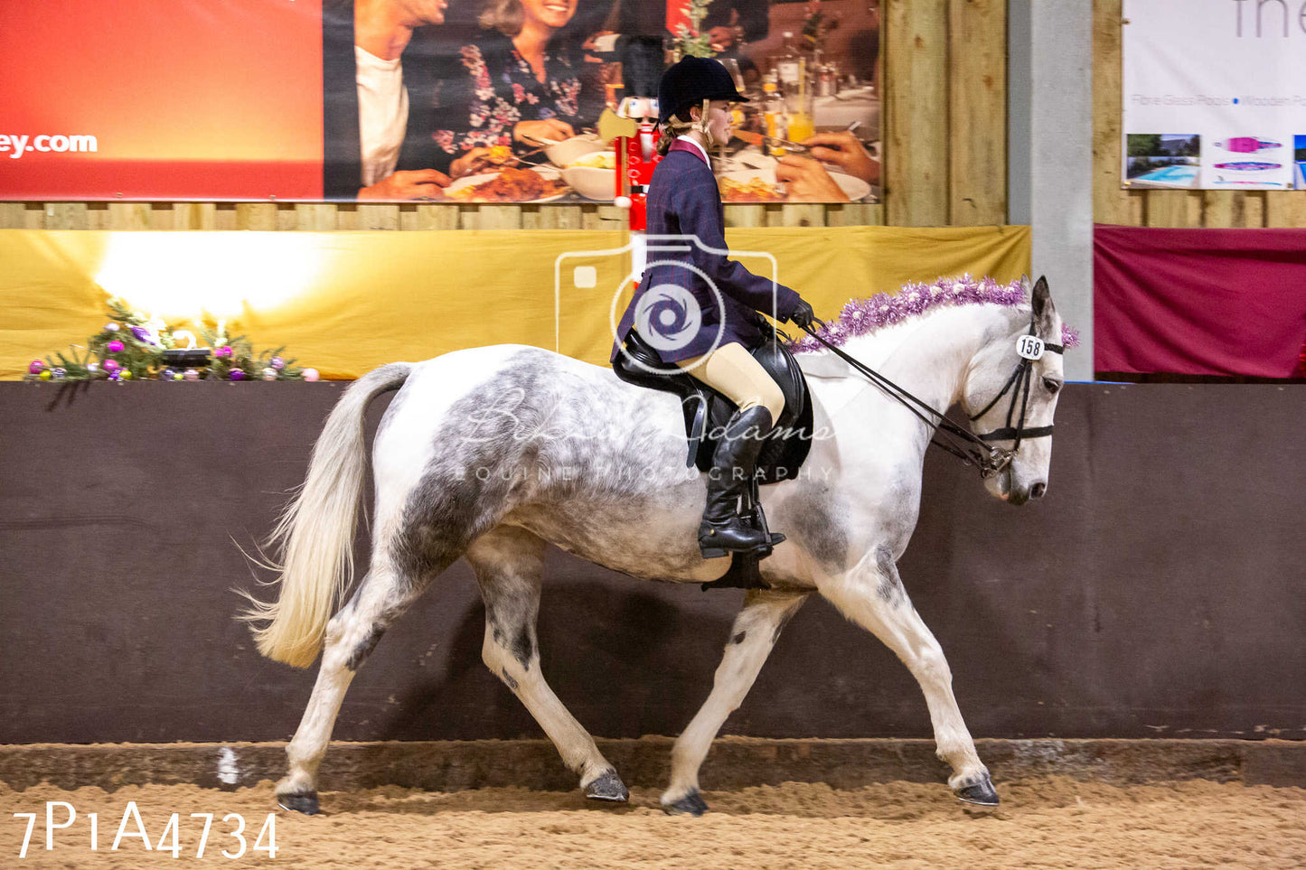 Home Farm Christmas Show 2024 - Ridden