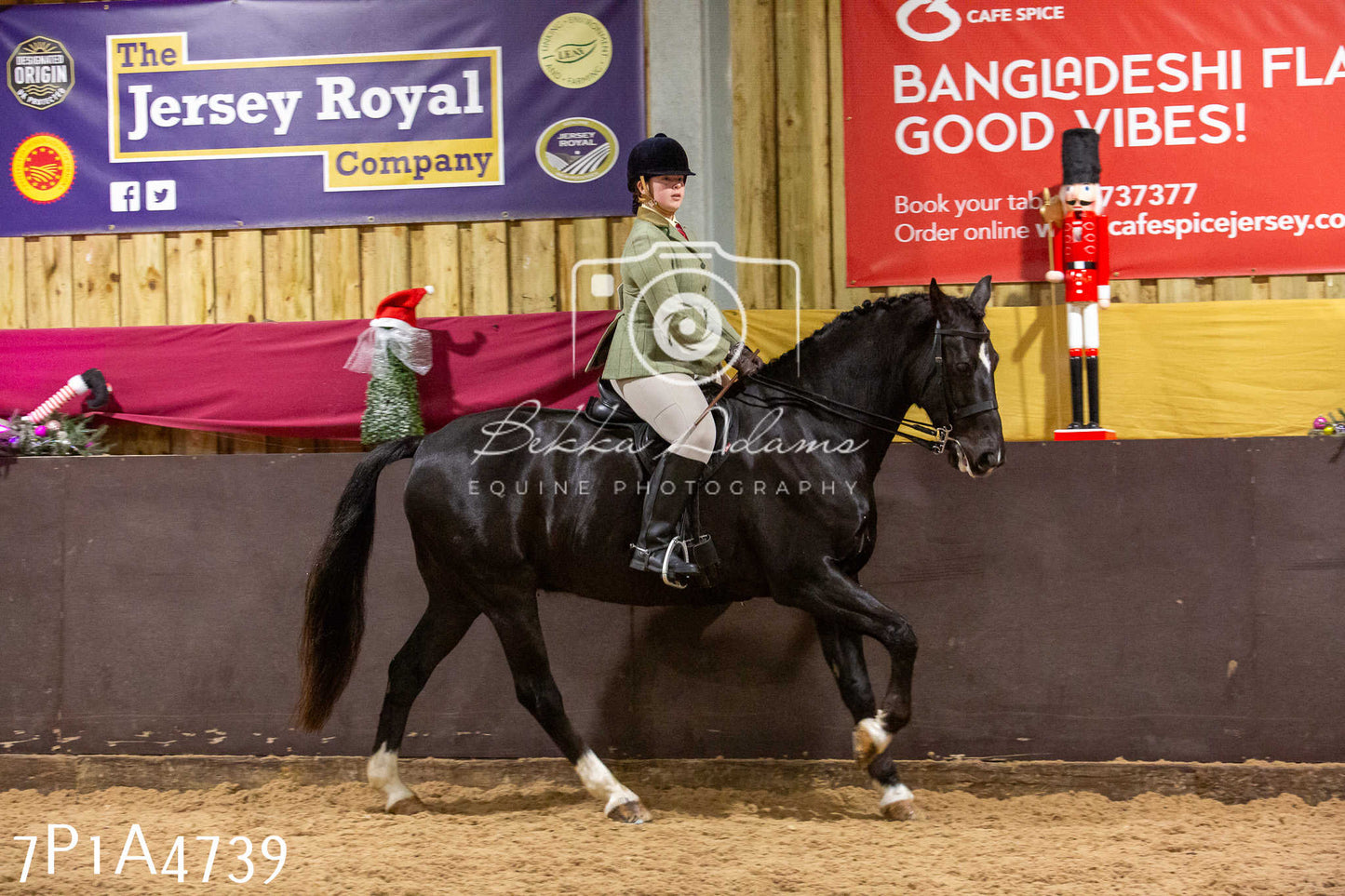 Home Farm Christmas Show 2024 - Ridden