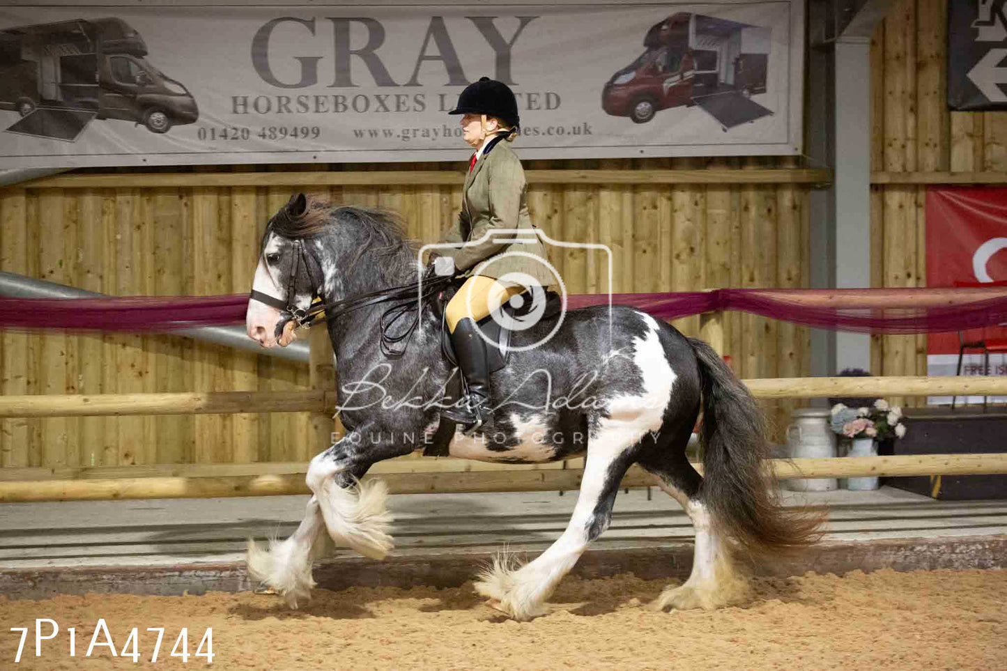 JHOYS 2023 - 10th September - Ridden Showing Pt1