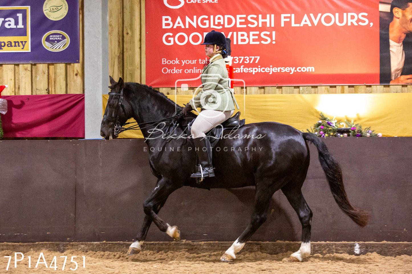 Home Farm Christmas Show 2024 - Ridden