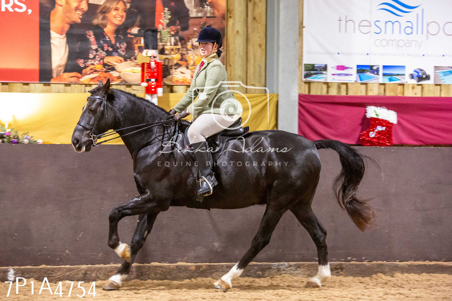 Home Farm Christmas Show 2024 - Ridden