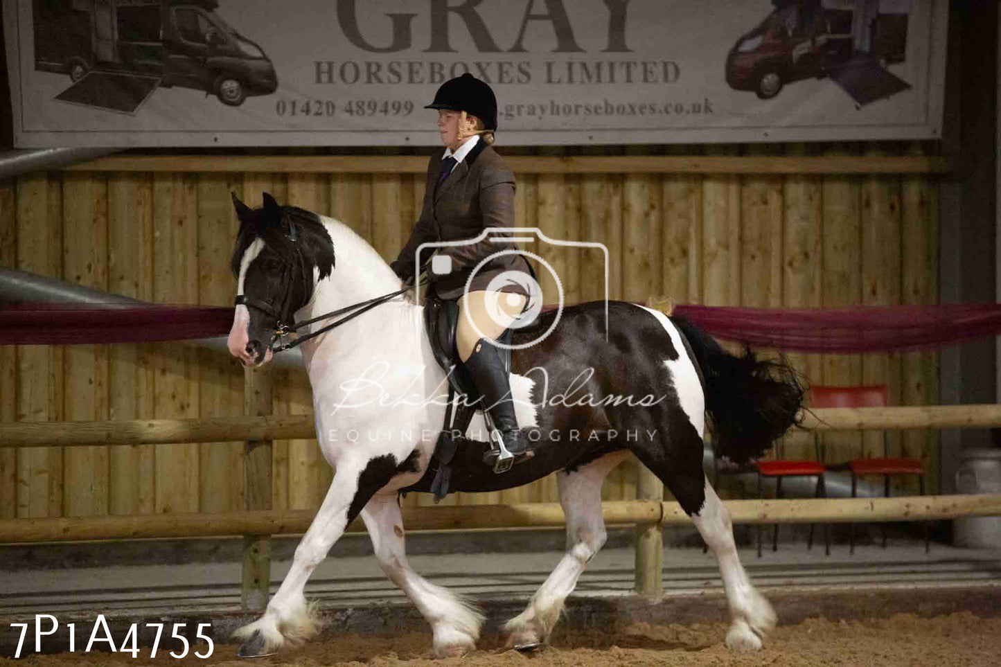 JHOYS 2023 - 10th September - Ridden Showing Pt1