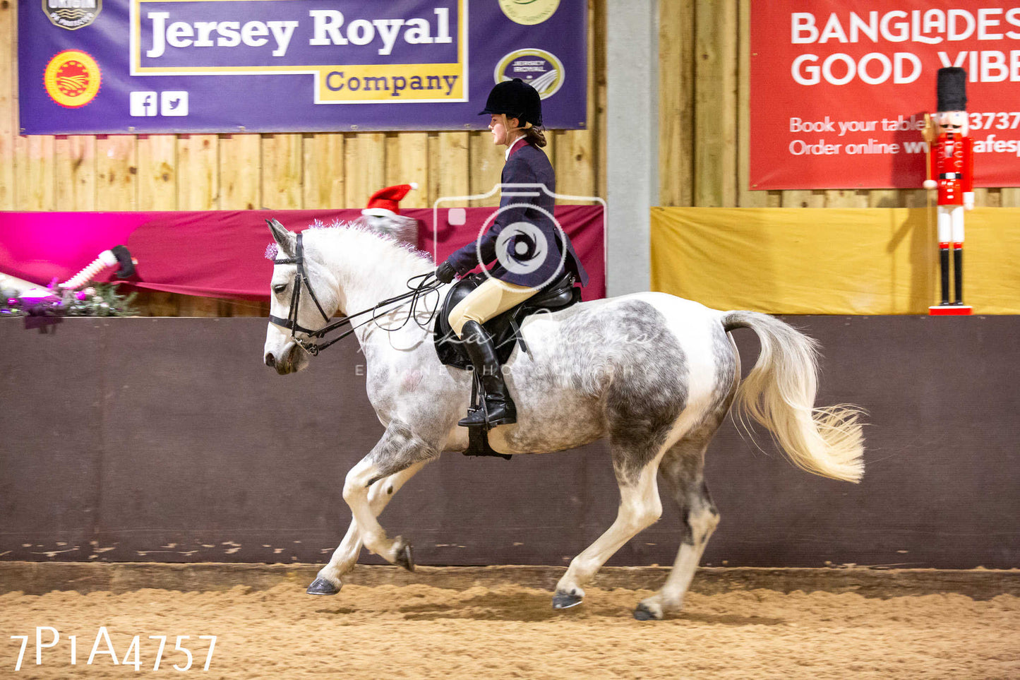Home Farm Christmas Show 2024 - Ridden