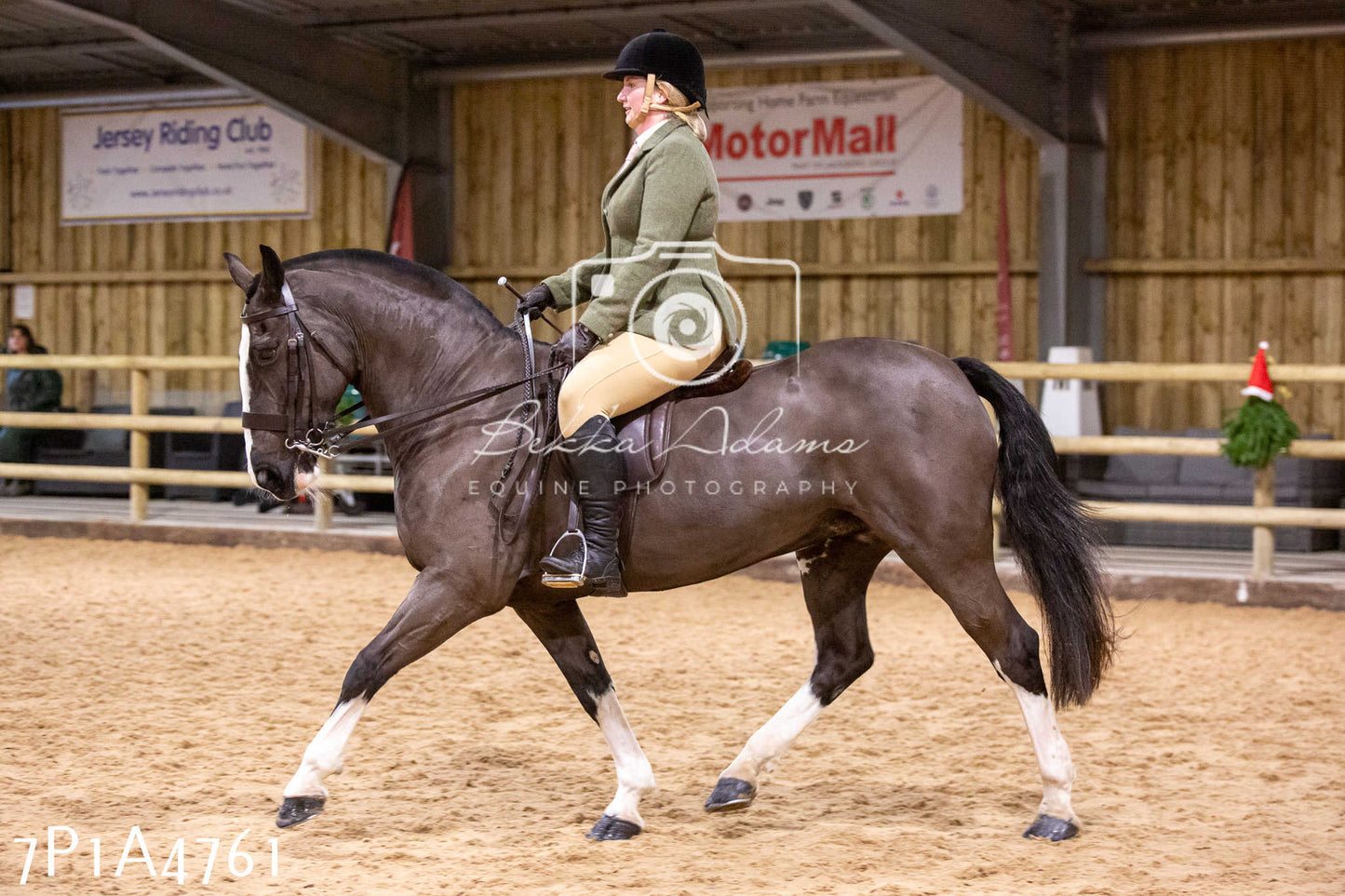 Home Farm Christmas Show 2024 - Ridden