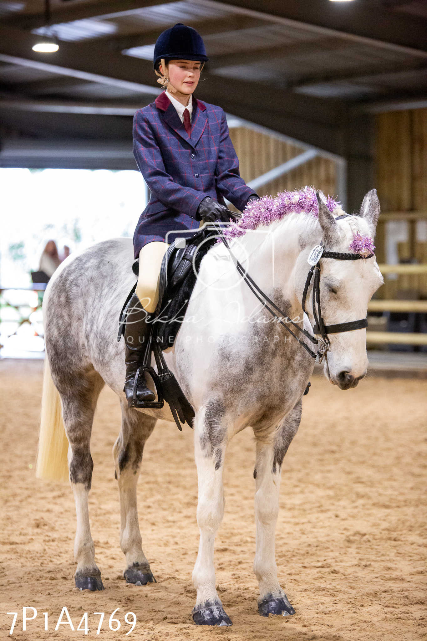 Home Farm Christmas Show 2024 - Ridden