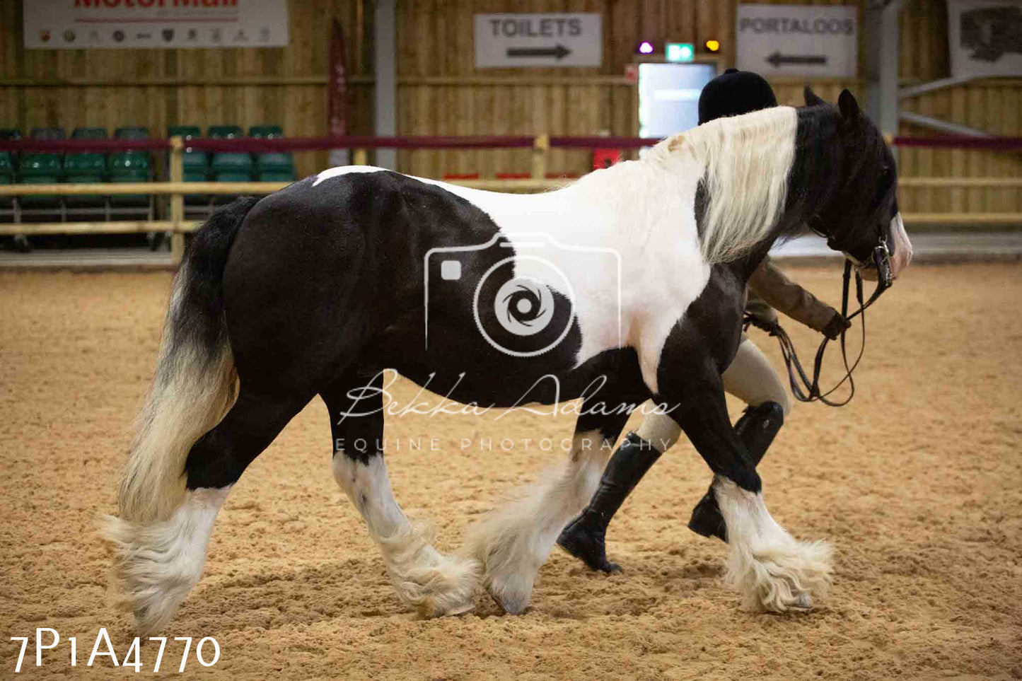 JHOYS 2023 - 10th September - Ridden Showing Pt1