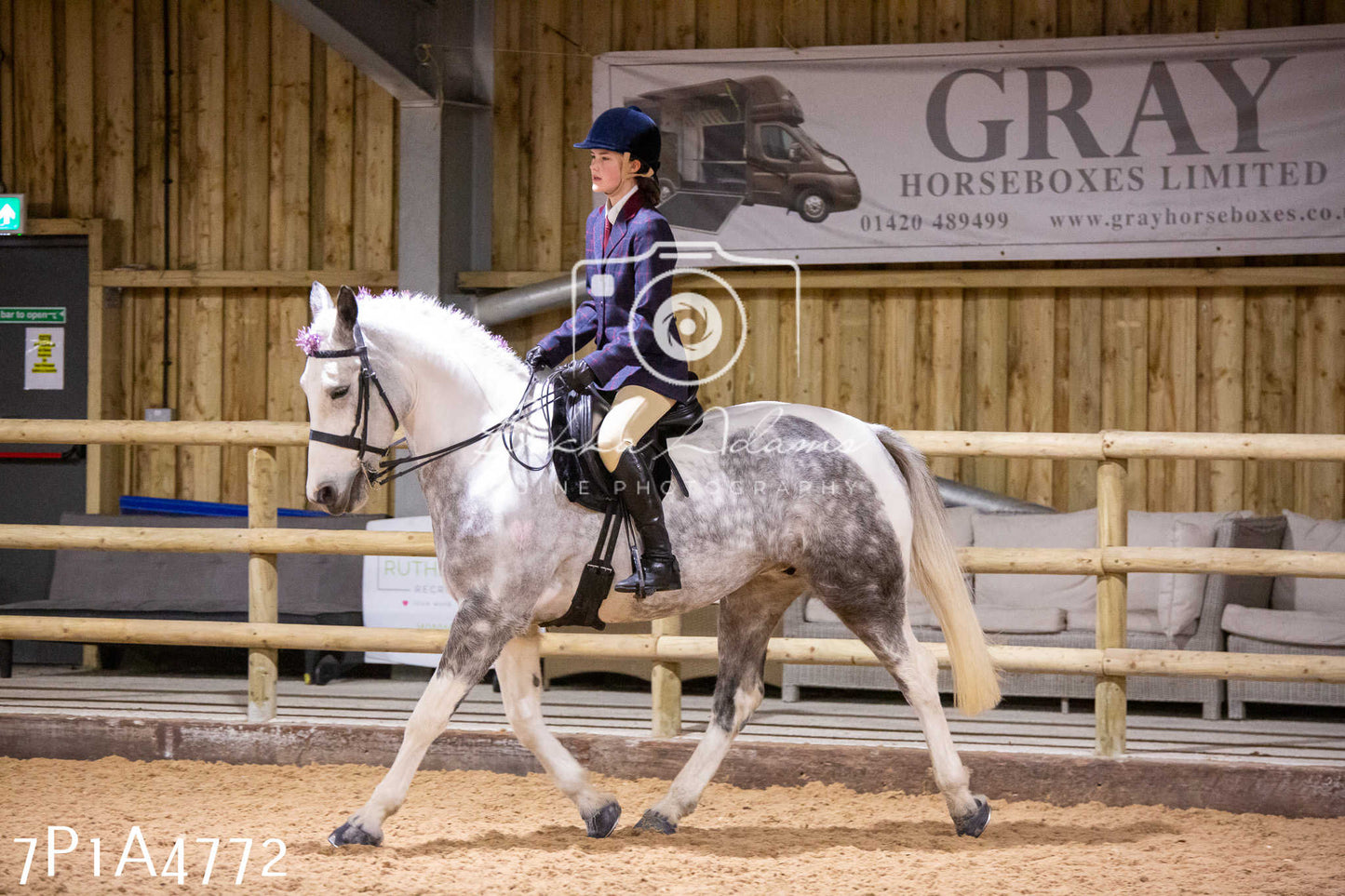Home Farm Christmas Show 2024 - Ridden
