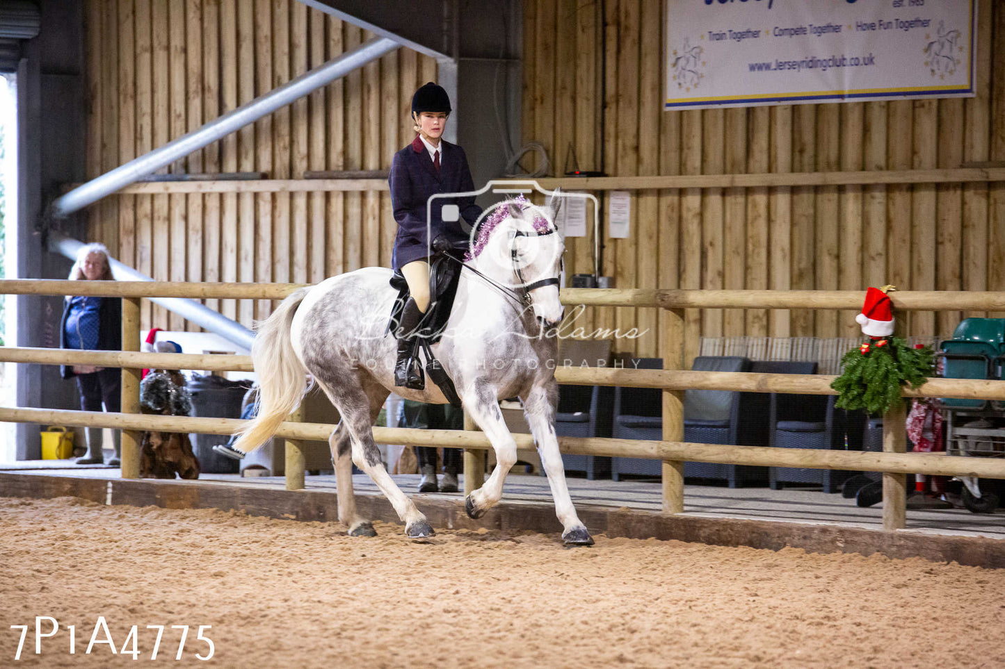 Home Farm Christmas Show 2024 - Ridden