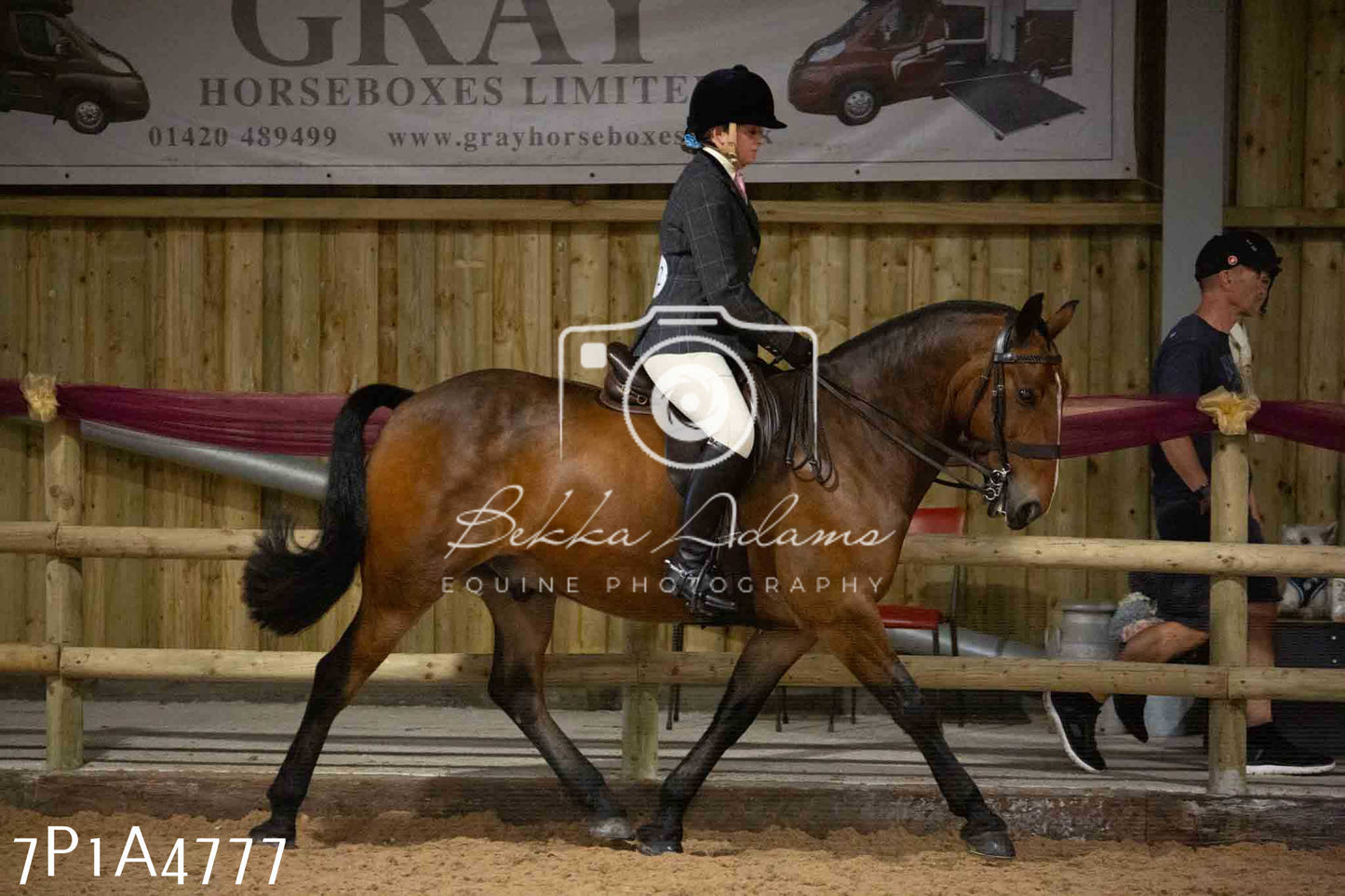 JHOYS 2023 - 10th September - Ridden Showing Pt1