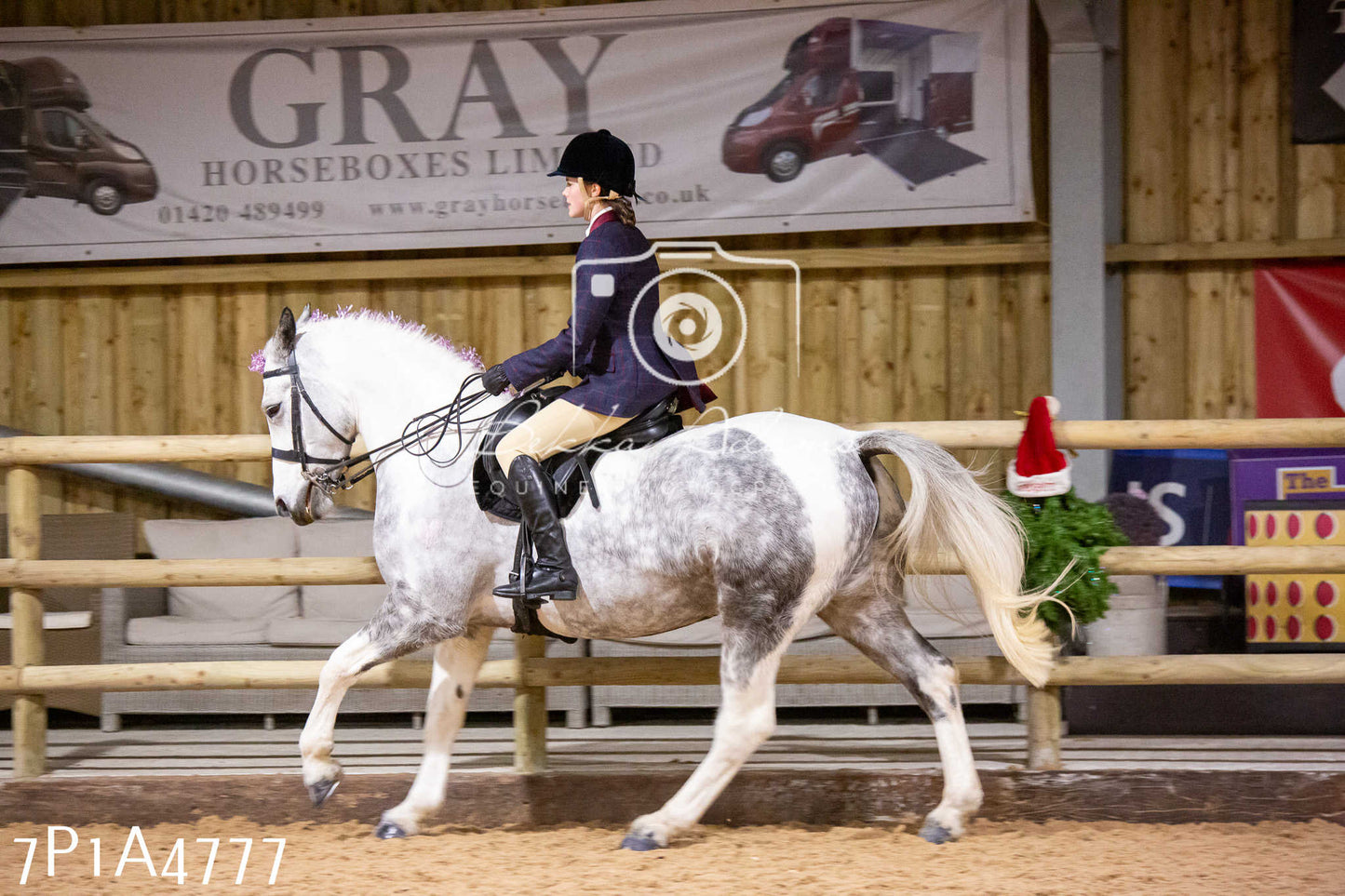Home Farm Christmas Show 2024 - Ridden