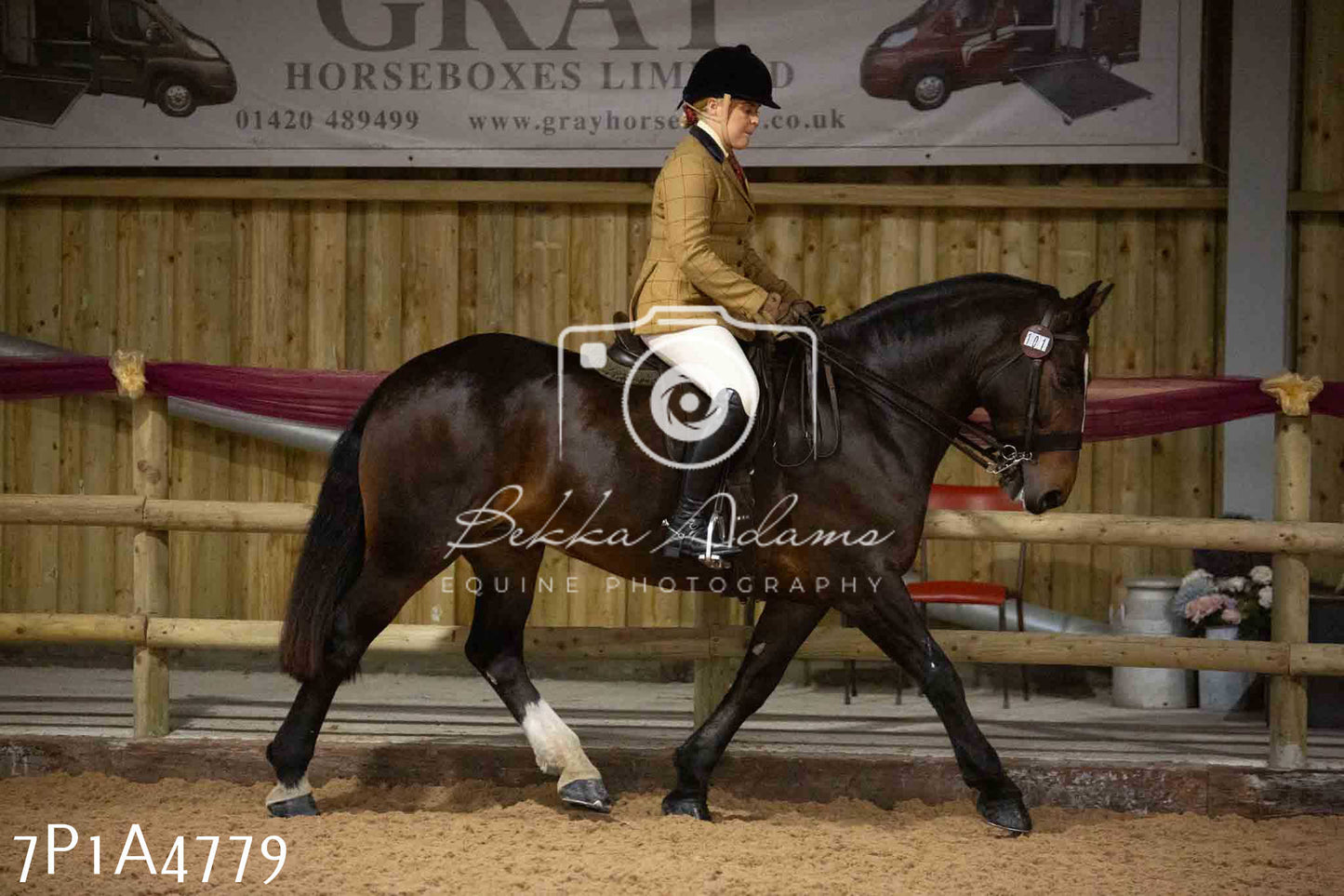 JHOYS 2023 - 10th September - Ridden Showing Pt1