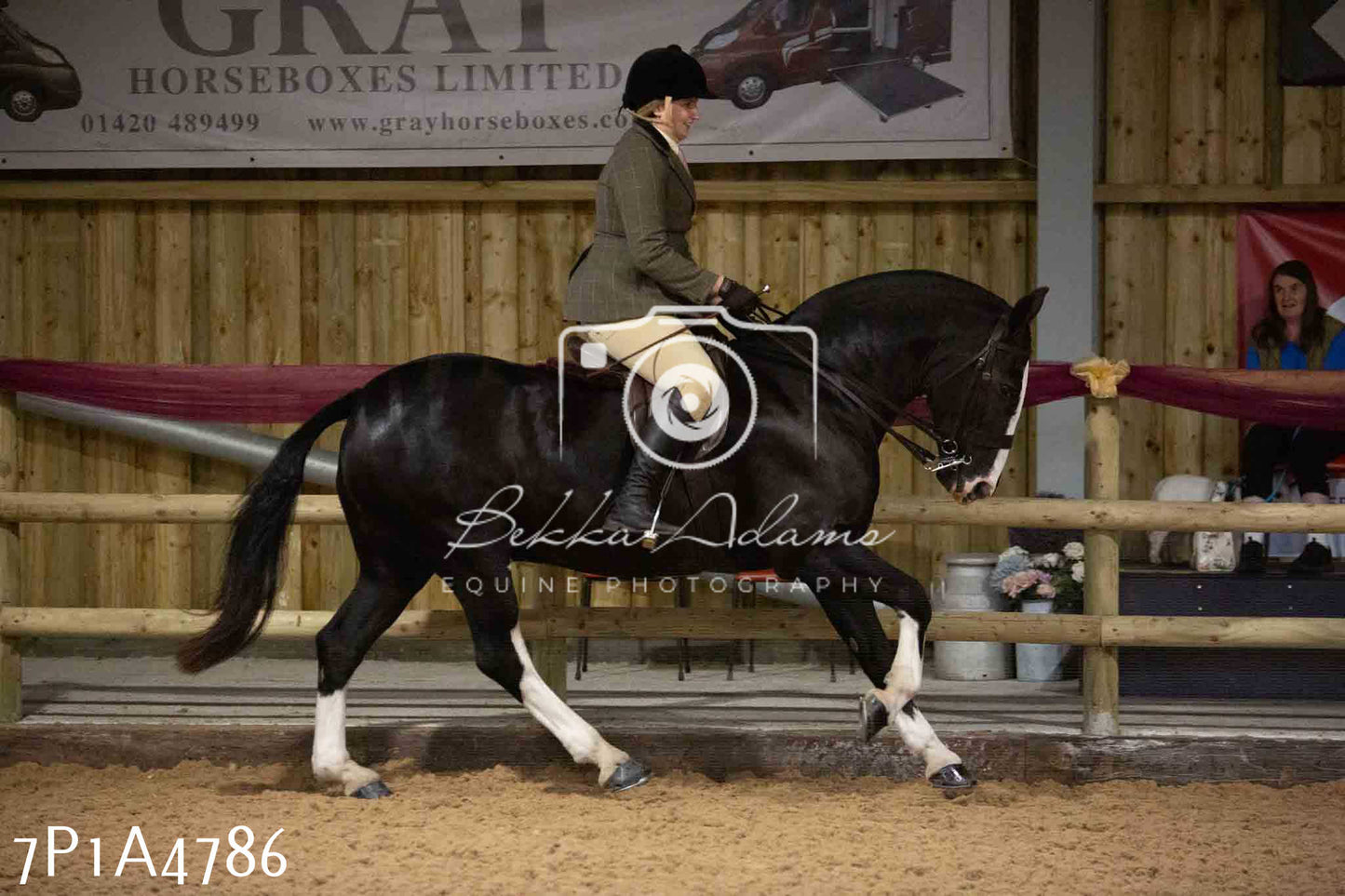JHOYS 2023 - 10th September - Ridden Showing Pt1
